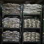 Millions of dollars worth of $1 coins languish in a vault at the Federal Reserve Bank of Richmond's Baltimore branch. Millions of dollars worth of $1 coins languish in a vault at the Federal Reserve Bank of Richmond's Baltimore branch.