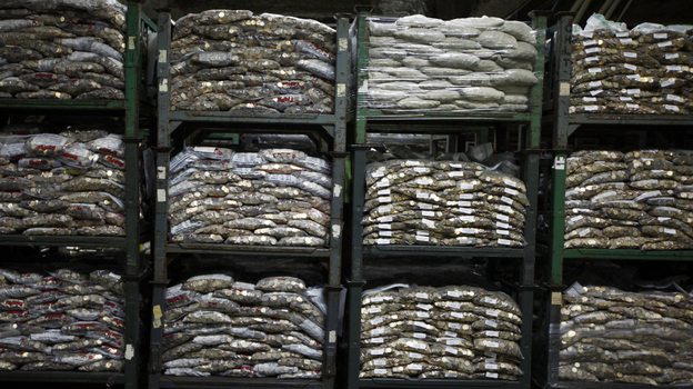 Millions of dollars worth of $1 coins languish in a vault at the Federal Reserve Bank of Richmond's Baltimore branch.