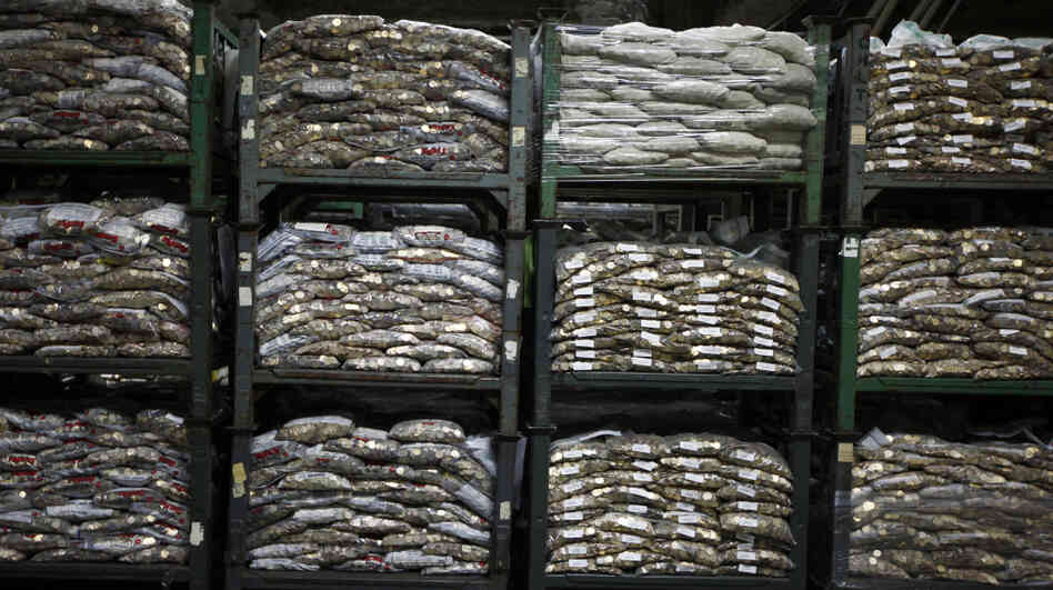 The Federal Reserve Stores 1 Billion In Dollar Coins That No One Wants
