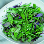 The green bean salad with snow peas, coriander and mustard seeds and tarragon, from Yotam Ottolenghi's Plenty. Ottolenghi's column, "The New Vegetarian," has run in London's Guardian newspaper since 2006.