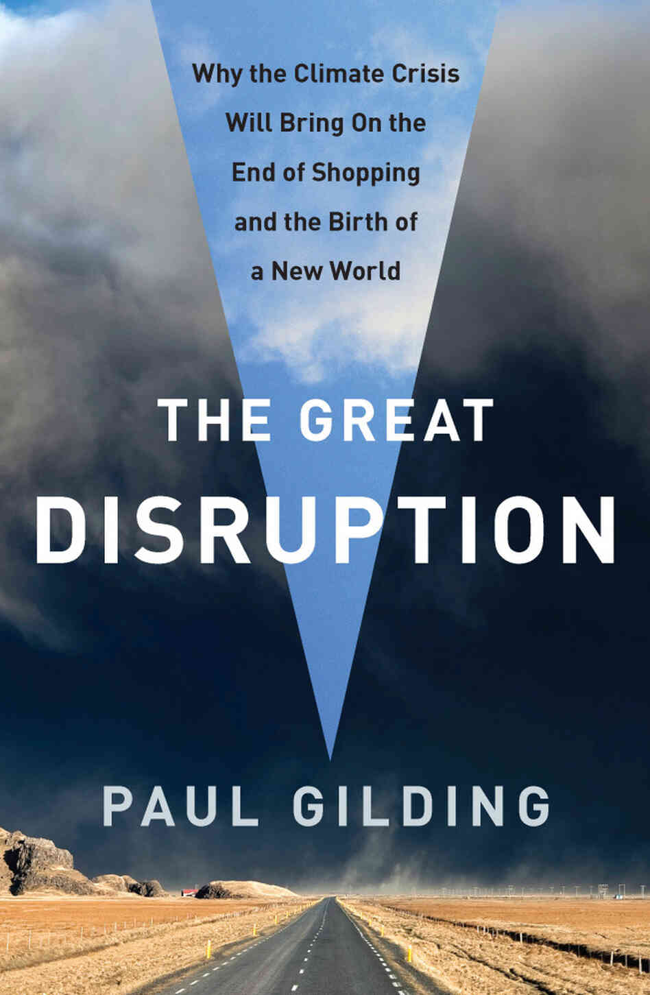 THE GREAT DISRUPTION COVER THE GREAT DISRUPTION COVER