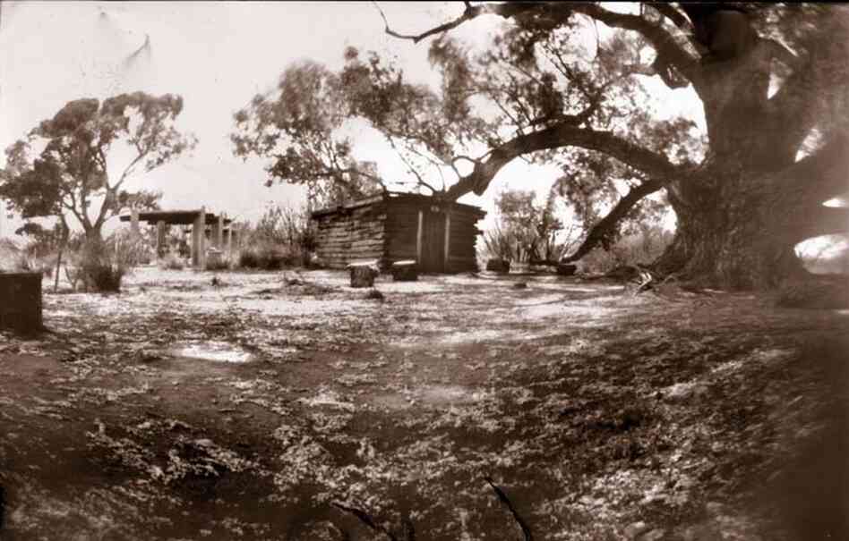 "Windy at the San Pedro House," Ariz. "Windy at the San Pedro House," Ariz.