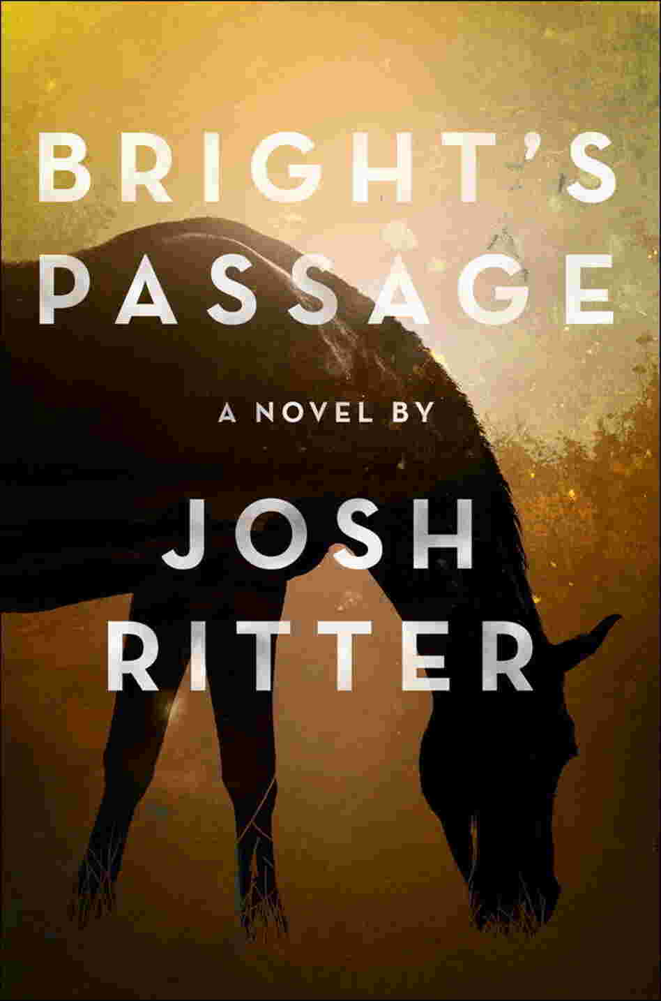 Bright's Passage by Josh Ritter Bright's Passage by Josh Ritter