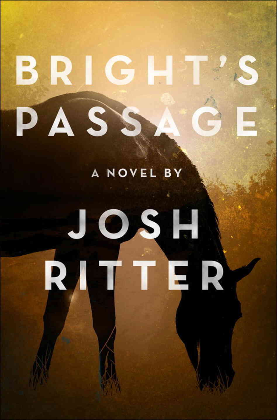 Bright's Passage by Josh Ritter Bright's Passage by Josh Ritter