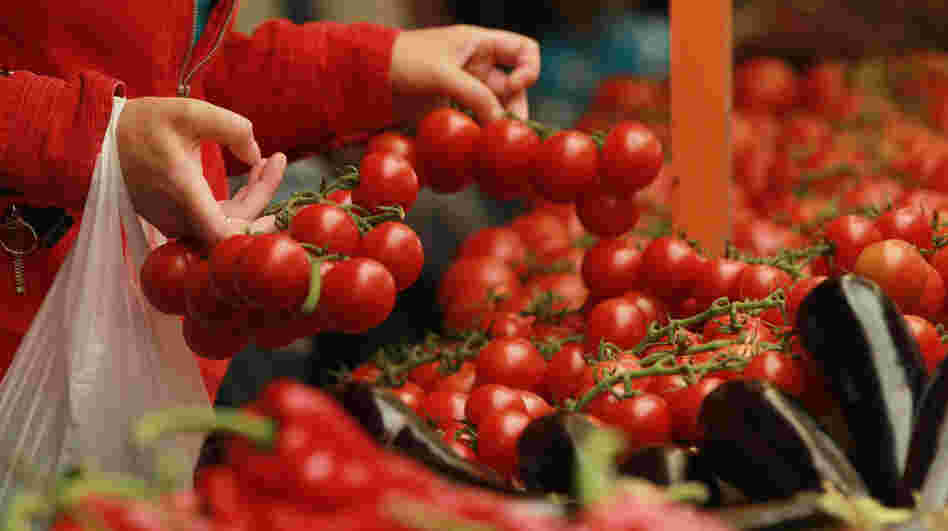 Original varieties of tomatoes from South America are believed to have been small, like today's cherry tomatoes. Today's large, plump tomatoes are the result of years of selection.