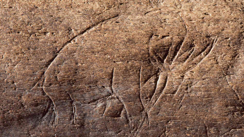James Kennedy, an amateur collector, found this fossilized bone with a mammoth or mastodon engraving in Vero Beach, Fla. It has been identified as one of the oldest pieces of prehistoric art in the Western Hemisphere