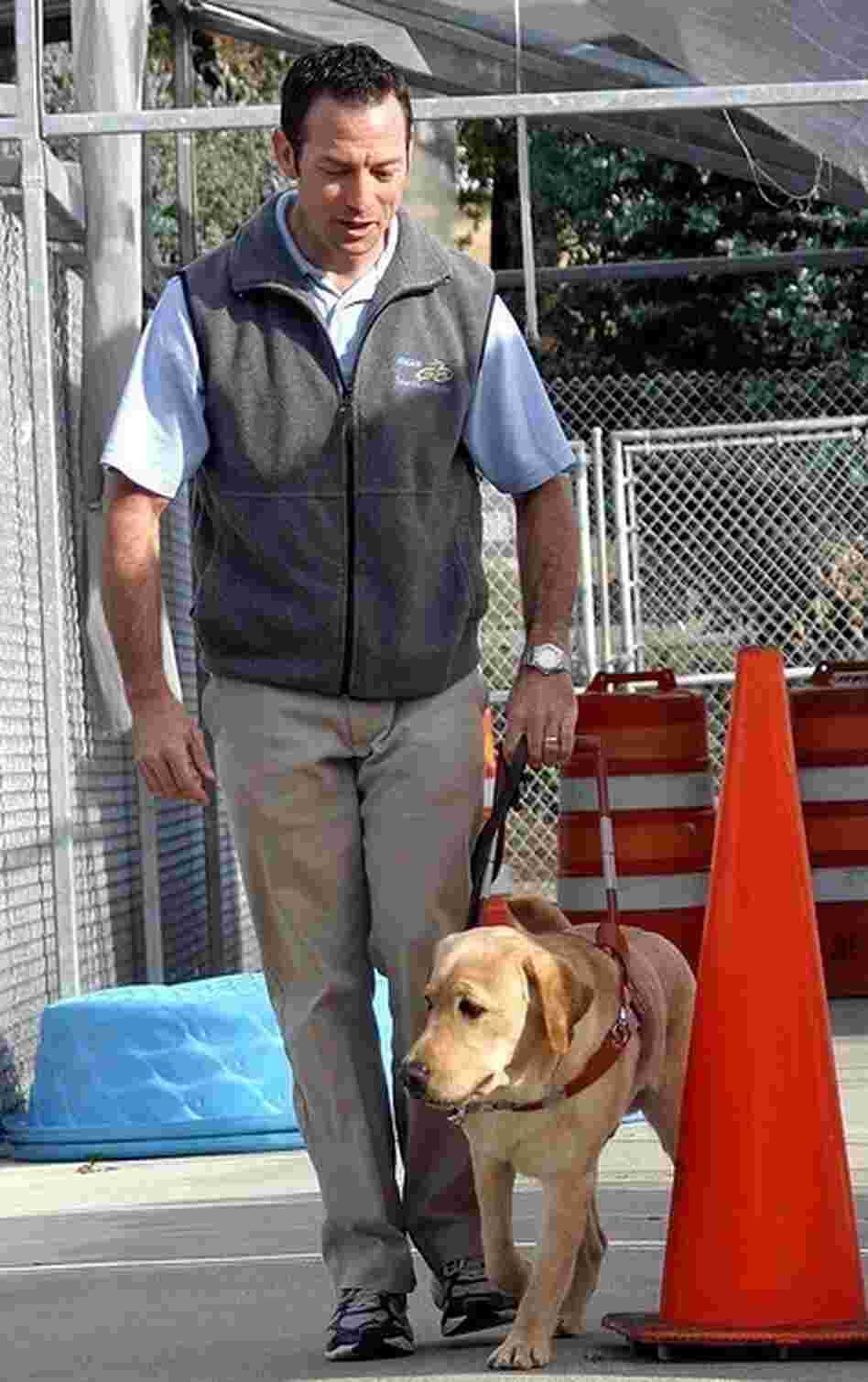 Guide dog mobility instructor Adam Waskow in a training session. Guide dog mobility instructor Adam Waskow in a training session.