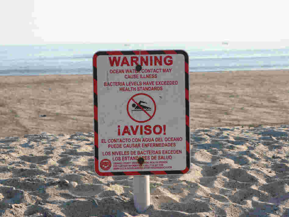 Doheny Beach in Orange County, Calif., photographed in 2005. A report on pollution at the nation's beaches found that Doheny failed at least one water quality standard 42 percent of the time it was tested in 2010. Doheny Beach in Orange County, Calif., photographed in 2005. A report on pollution at the nation's beaches found that Doheny failed at least one water quality standard 42 percent of the time it was tested in 2010.