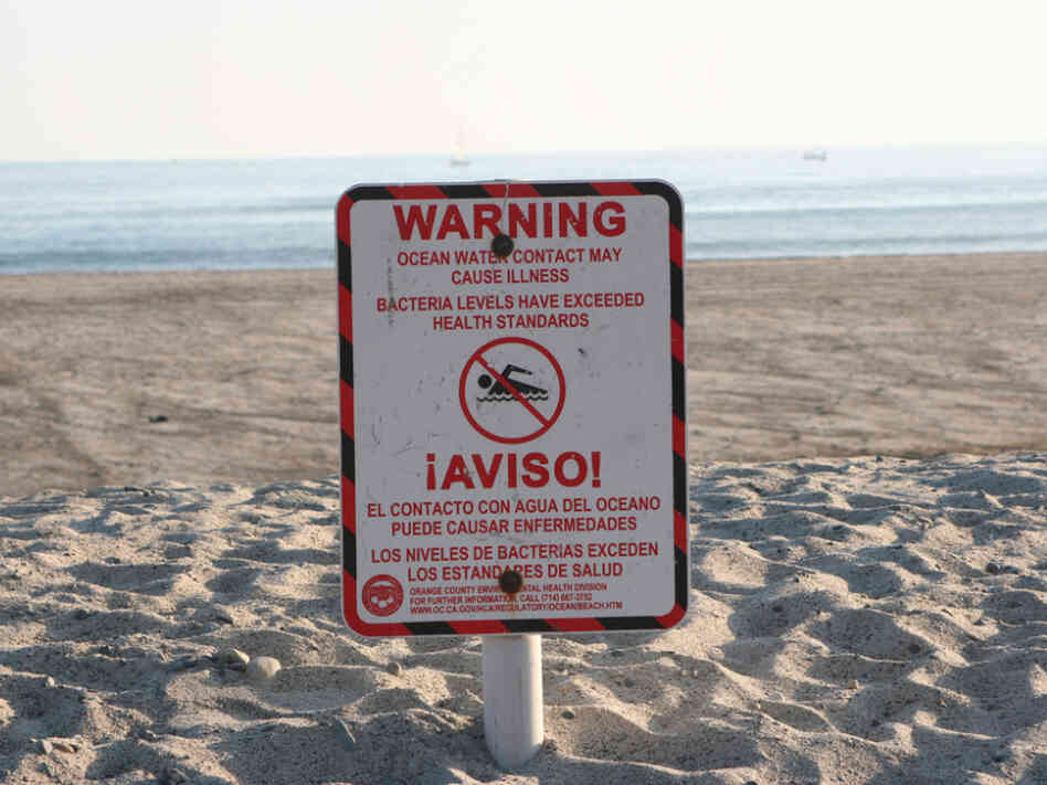 Doheny Beach in Orange County, Calif., photographed in 2005. A report on pollution at the nation's beaches found that Doheny failed at least one water quality standard 42 percent of the time it was tested in 2010. Doheny Beach in Orange County, Calif., photographed in 2005. A report on pollution at the nation's beaches found that Doheny failed at least one water quality standard 42 percent of the time it was tested in 2010.