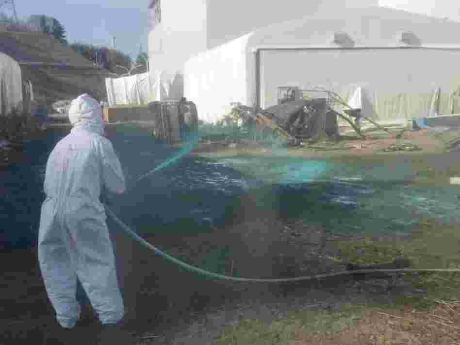 Workers at the Fukushima Dai-ichi nuclear power plant spray a substance to help reduce dust on April 1. Experts say it's likely that workers at the plant could have reduced the severity of the accident if they had made different decisions during the crisis. Workers at the Fukushima Dai-ichi nuclear power plant spray a substance to help reduce dust on April 1. Experts say it's likely that workers at the plant could have reduced the severity of the accident if they had made different decisions during the crisis.