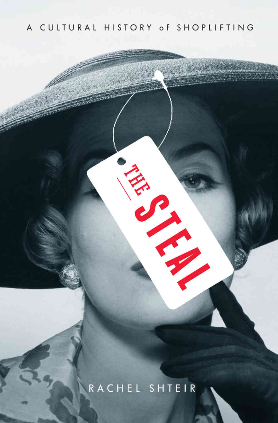The Steal, by Rachel Shteir The Steal, by Rachel Shteir