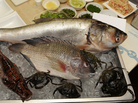 Salty invasion: Asian carp (top), wild tilapia, lionfish, and European green crabs at a James Beard House event on Wednesday. Salty invasion: Asian carp (top), wild tilapia, lionfish, and European green crabs at a James Beard House event on Wednesday.
