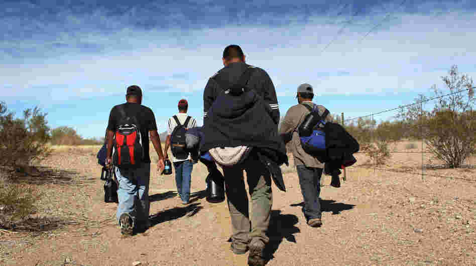 Undocumented Mexican immigrants walk through the Sonoran Desert after crossing the U.S.-Mexico border. Migrants attempting to cross  are at risk of being kidnapped, extorted or even killed by drug gangs.