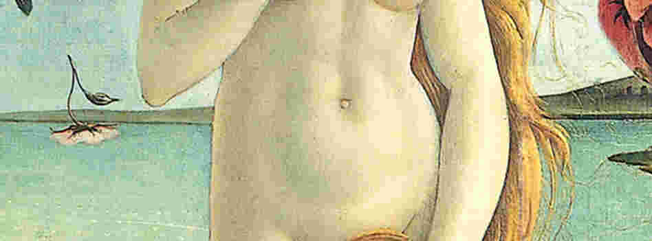 A close-up of Venus' torso. A close-up of Venus' torso.