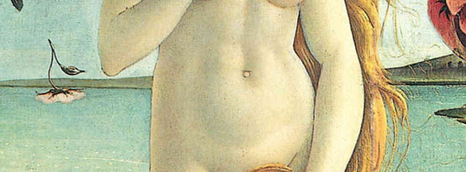 A close-up of Venus' torso. A close-up of Venus' torso.