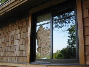 This cabin was trashed by vandals who took advantage of the park's closure this week. More than a dozen people have been arrested and charged in the incident.