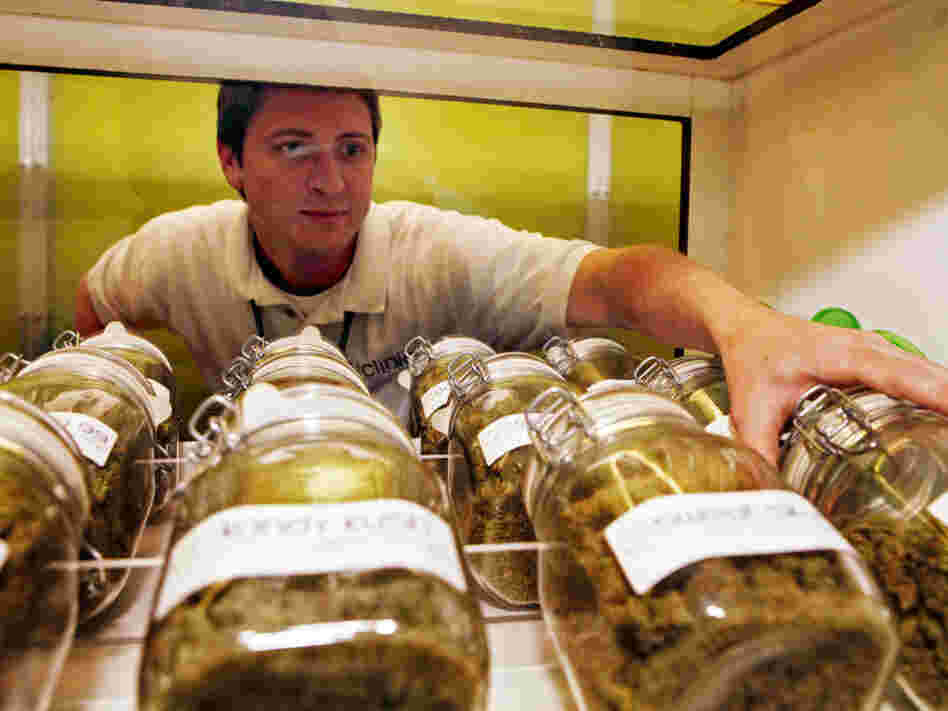 Ryan Cook reaches for a jar of medical marijuana at one of his clinics in Denver last month.  With over 300 dispensaries, the city now has more places to buy pot than Starbucks.