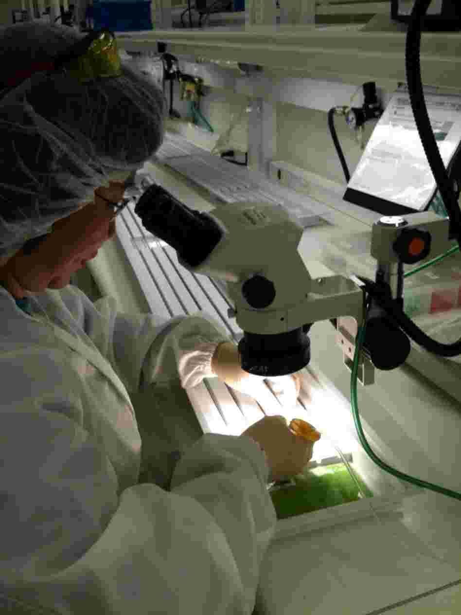 Workers at Pathway Medical Technologies.