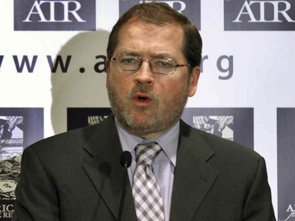Americans for Tax Reform President Grover Norquist speaks on Capitol Hill in April.