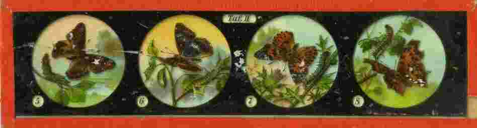 These 19th-century magic lanterns might have been used in a lecture. Each image would have been projected as the operator pushed the slide through the magic lantern projector. The images are photographs of drawings that have been hand-colored. These 19th-century magic lanterns might have been used in a lecture. Each image would have been projected as the operator pushed the slide through the magic lantern projector. The images are photographs of drawings that have been hand-colored.
