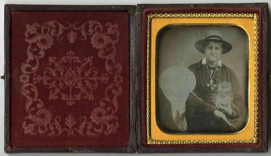 Daguerreotype of a lepidopterist (butterfly collector), circa 1850 Daguerreotype of a lepidopterist (butterfly collector), circa 1850