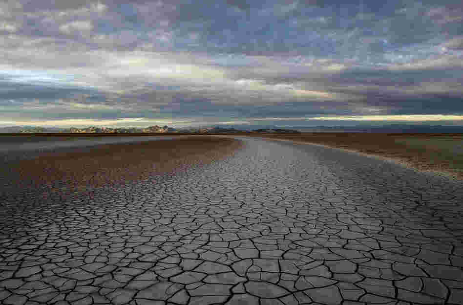 Fifty miles south of the U.S.-Mexico border, the Colorado River Delta and its once-rich estuary wetlands — reduced by 95 percent since the river was restricted by dams — are now as parched as the surrounding Sonoran Desert. Only rare floods or canceled farm orders allow the river to reach the Gulf of California.