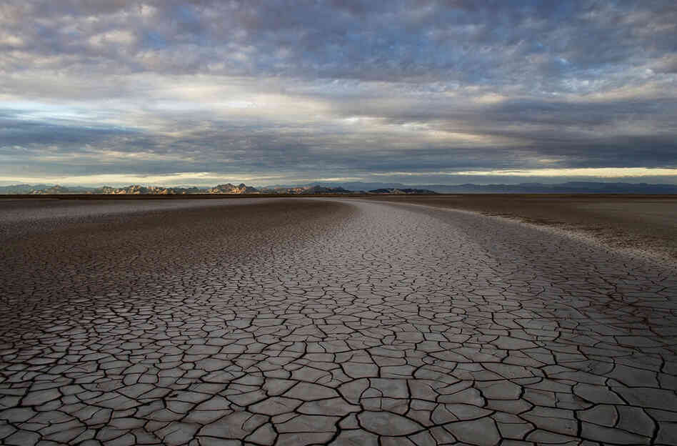 Fifty miles south of the U.S.-Mexico border, the Colorado River Delta and its once-rich estuary wetlands — reduced by 95 percent since the river was restricted by dams — are now as parched as the surrounding Sonoran Desert. Only rare floods or canceled farm orders allow the river to reach the Gulf of California.
