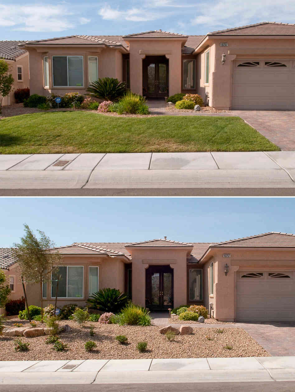 "Xeriscaping," a term trademarked in Denver for creating lawns of native plants that require little water, is encouraged in Las Vegas.
