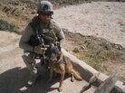Marine Cpl. Daniel Cornier and his colleague, Chaak, in Afghanistan. "Pretty much trust him with my life," Cornier says. Marine Cpl. Daniel Cornier and his colleague, Chaak, in Afghanistan. "Pretty much trust him with my life," Cornier says.