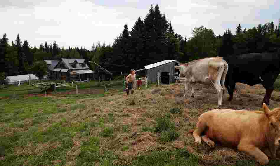 Ben Hewitt, who manages a 40-acre farm with his wife and two sons, wrote a book about Hardwick called The Town That Food Saved.