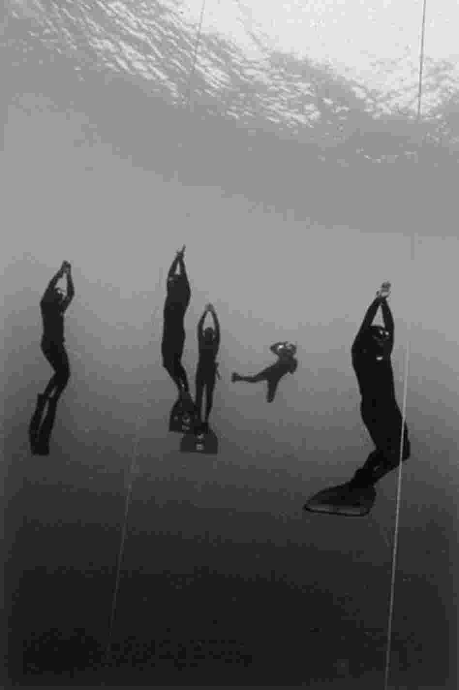Surfacing Freedivers Surfacing Freedivers