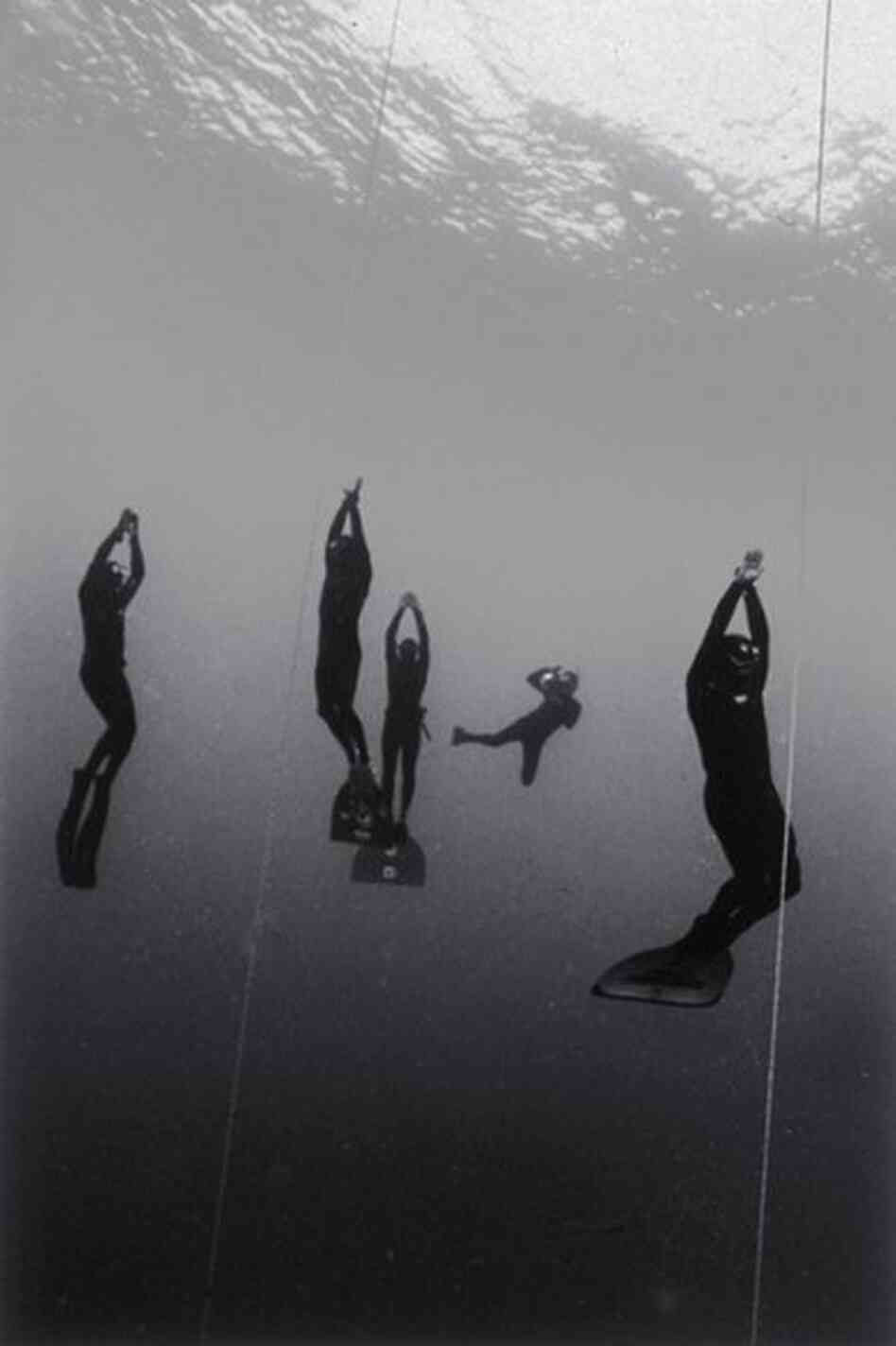 Surfacing Freedivers Surfacing Freedivers