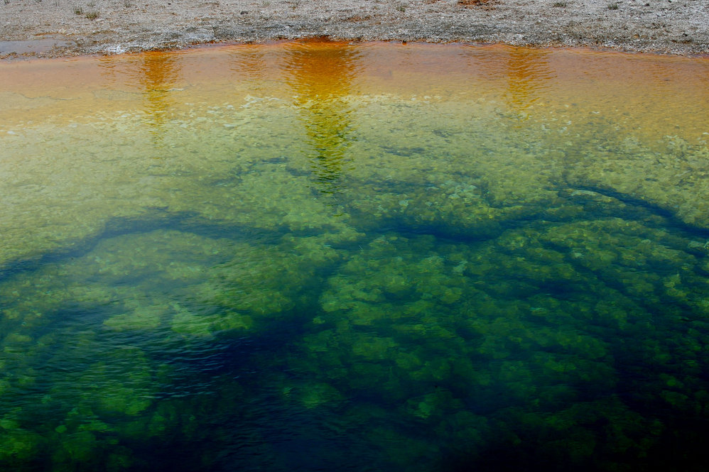 A close-up of the Morning Glory hot spring