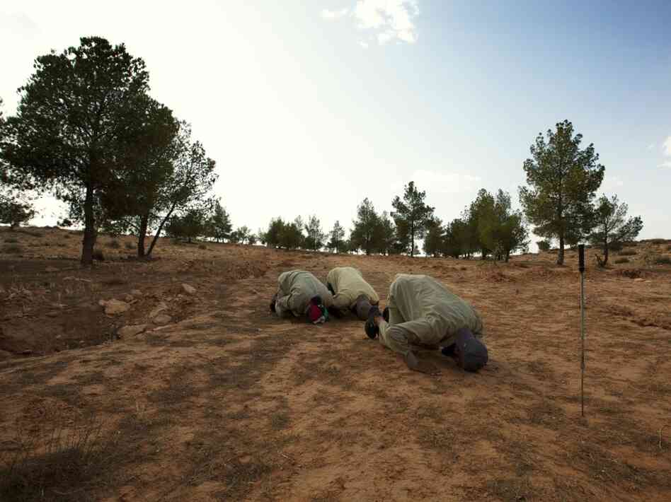 Milad Saadi and his team pray just before beginning their work clearing mines. Their mine probe is stuck in the ground in front of them.
