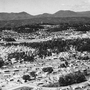 When it was first founded in 1942 to help build the atomic bomb, Oak Ridge, Tenn. was a military reservation. Now, the city is a world-renowned center for nuclear research and the destination for tons of German nuclear waste.