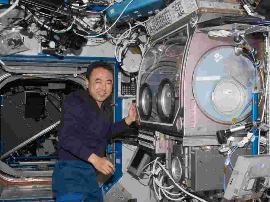 Japanese Astronaut Satoshi Furukawa works near the Microgravity Science Glovebox aboard the International Space Station on June 30. The unit allows space station crew members to assemble and operate science experiments in a controlled environment.