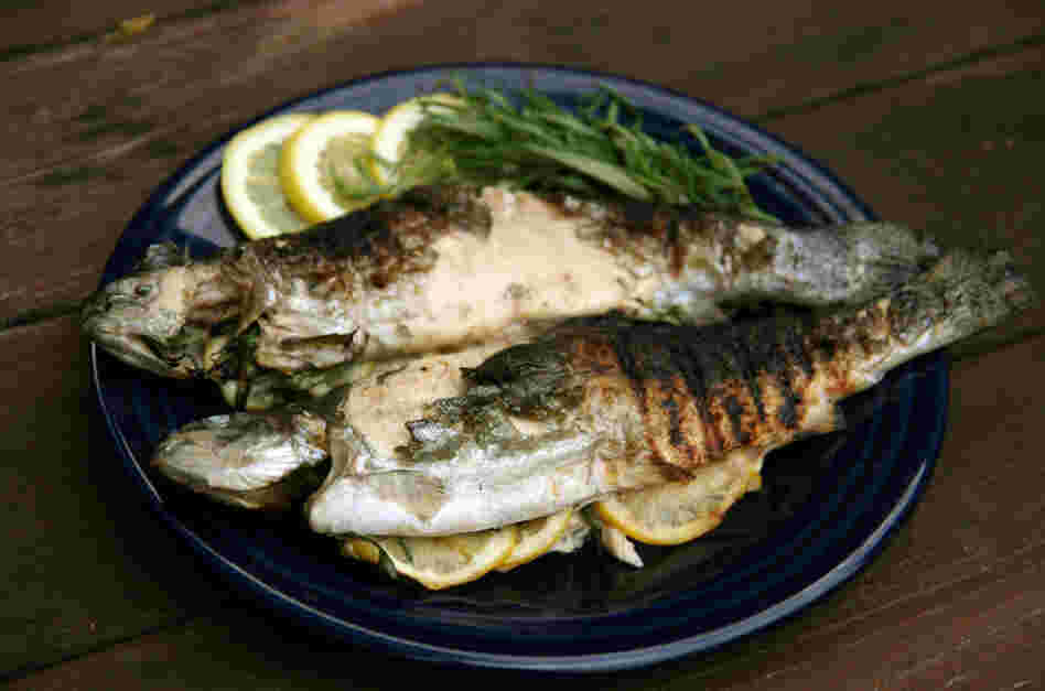 Grilled Trout