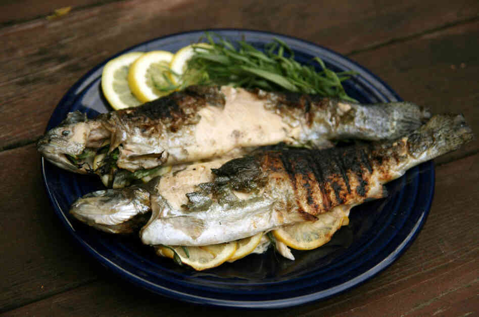 Grilled Trout