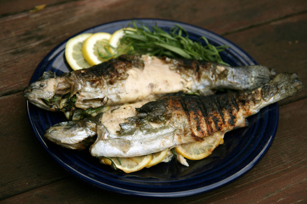 Grilled Trout