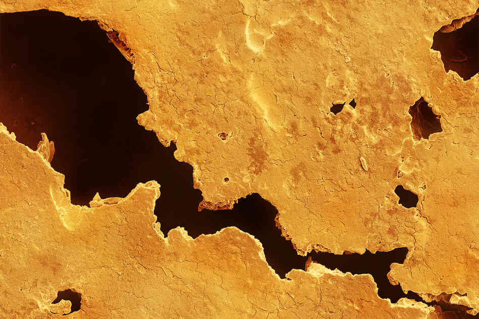 Caren Alpert uses an electron microscope to capture this image of a fortune cookie magnified 150 times (terra cibus no. 4: fortune cookie). Take a look at some of her other photos and see if you can guess what they are. We'll give you a hint.