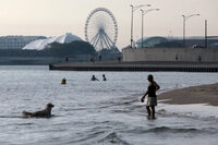 A dog takes an early morning dip on the shore of Lake Michigan on Wednesday in Chicago.