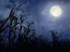 Full moon Full moon