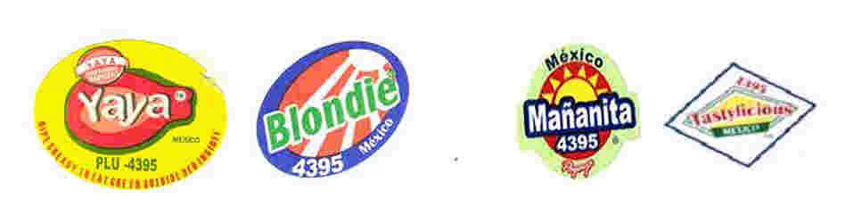 Labels for the recalled papaya brands distributed by Agromod Produce. Labels for the recalled papaya brands distributed by Agromod Produce.