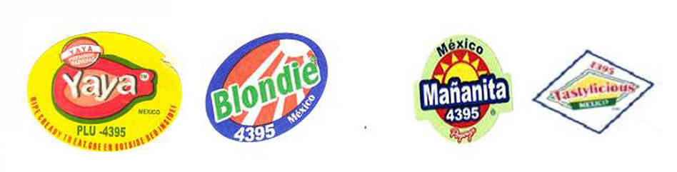 Labels for the recalled papaya brands distributed by Agromod Produce. Labels for the recalled papaya brands distributed by Agromod Produce.