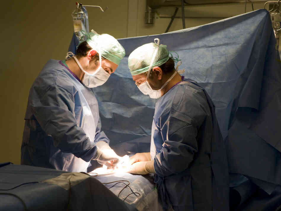 Doctors perform a kidney transplant operation in Spain in 2010. One in three people with kidney failure has antibodies that make it hard to  receive a transplant, but a new treatment can get rid of them prior to transplant.