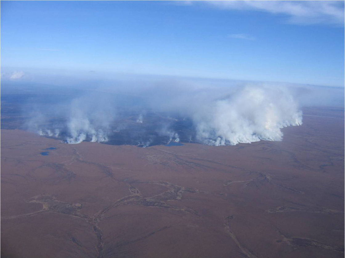Hard-won carbon going up in smoke: the 2007 Anaktuvuk River Fire, North Slope, Alaska. Source: Alaska Fire Service