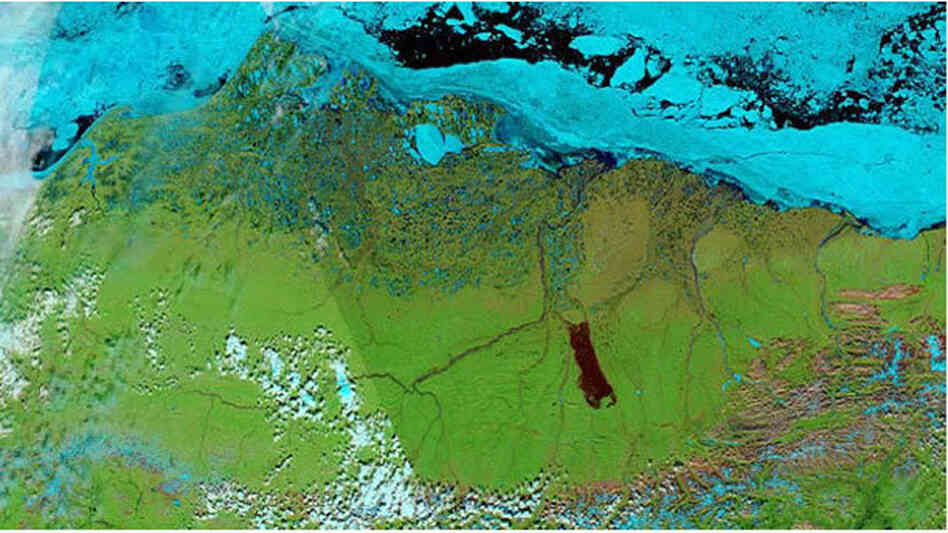 A satellite image of the burn scar left by the Anaktuvuk River Fire.  Source: NASA