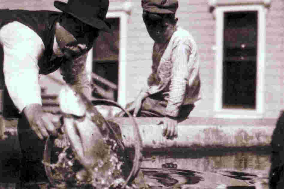 W. R. Ramsey of Port Townsend, Wash., trains trout to jump through hoops.