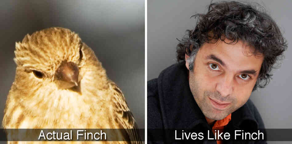 Finch and Keret. Finch and Keret.