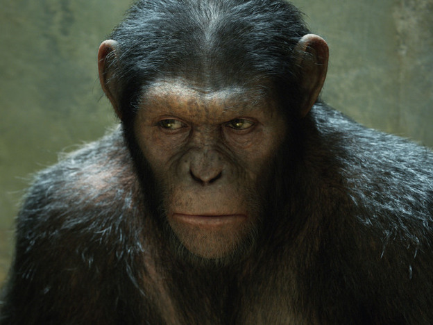 Andy Serkis plays Caesar in Rise of the Planet of the Apes. Caesar is entirely computer generated.